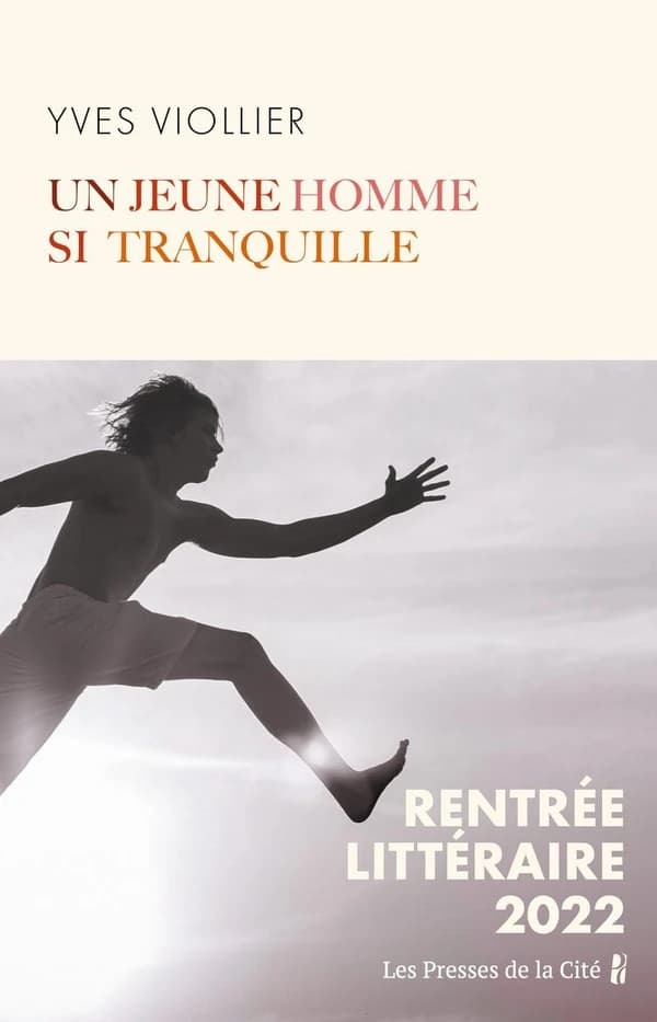 Un jeune homme si tranquille : roman