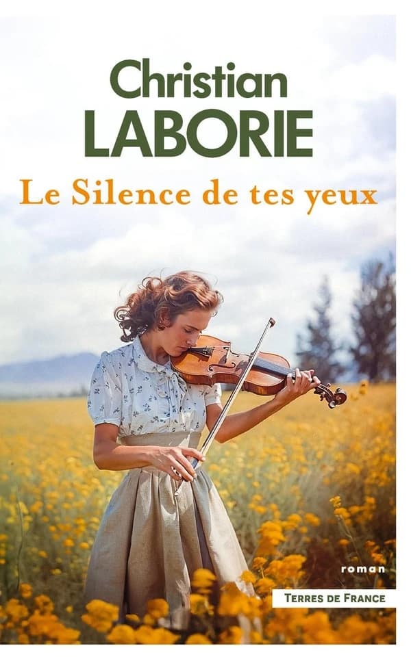 Le silence de tes yeux : roman