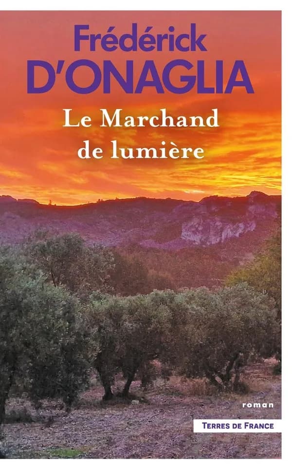 Le marchand de lumière : roman