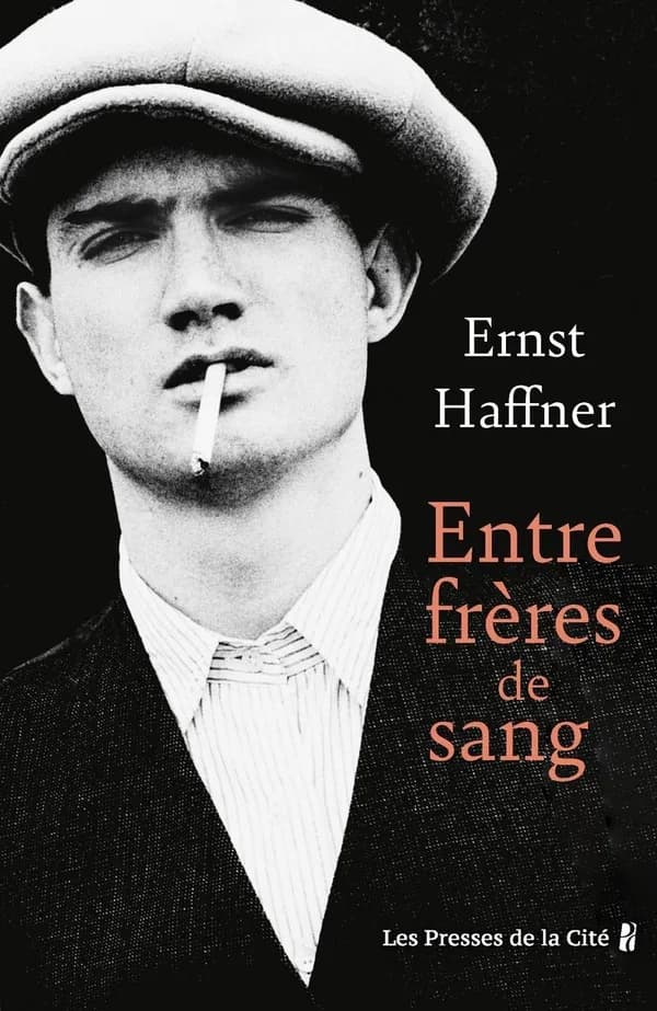 Entre frères de sang : roman