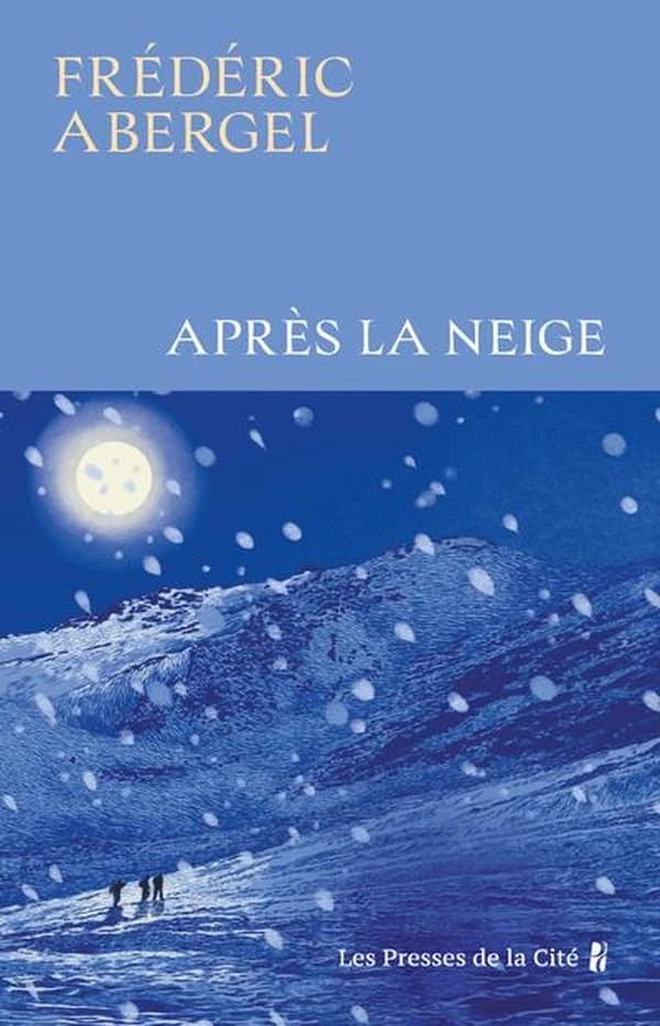 Après la neige : roman