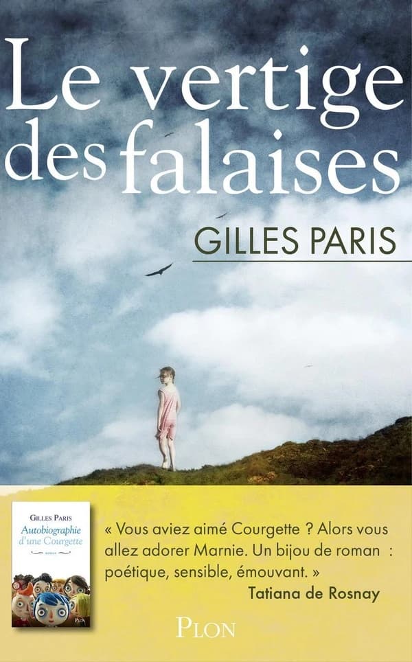 Le vertige des falaises : roman
