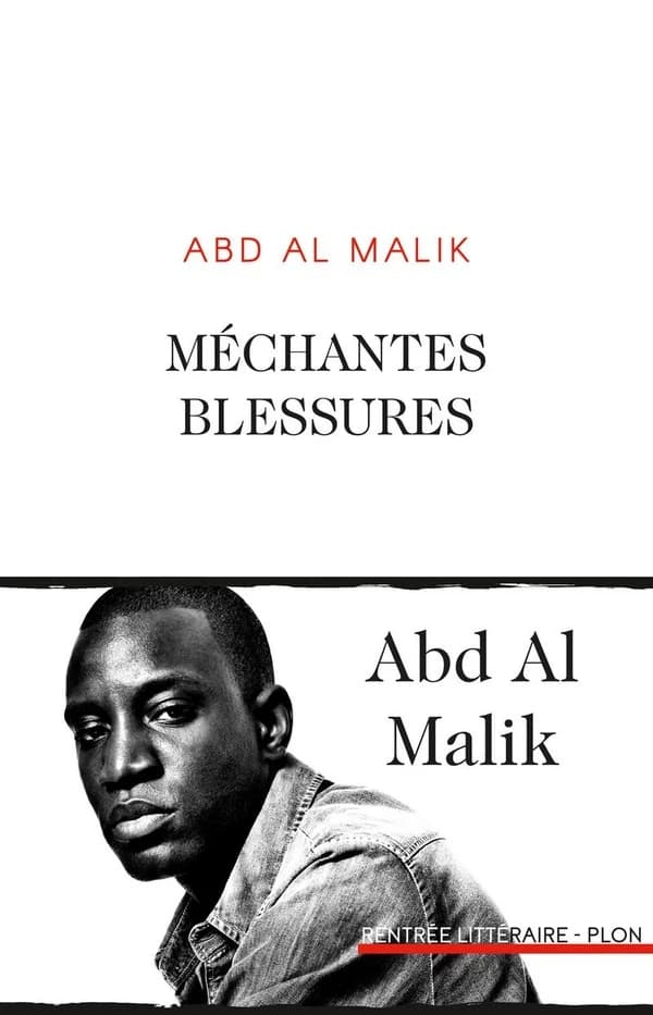Méchantes blessures : roman