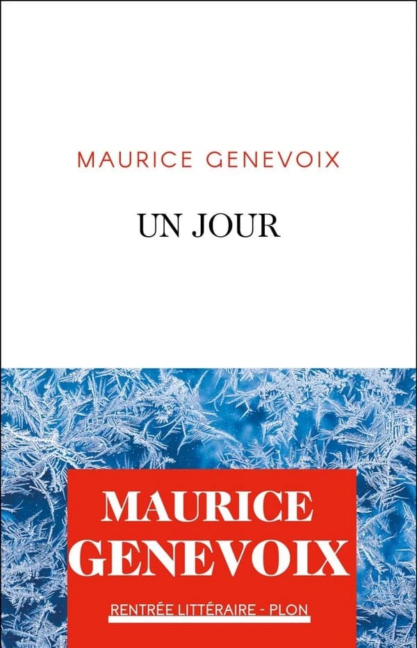 Un jour : roman