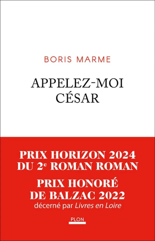 Appelez-moi César : roman