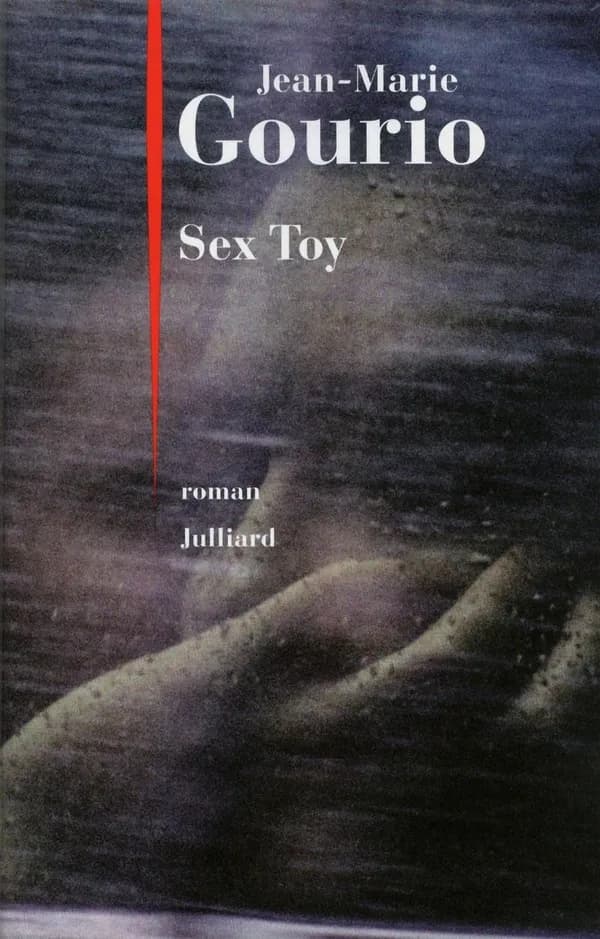Sex toy : roman