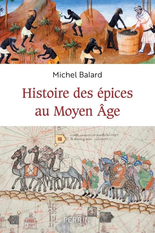 Histoire des épices au Moyen âge