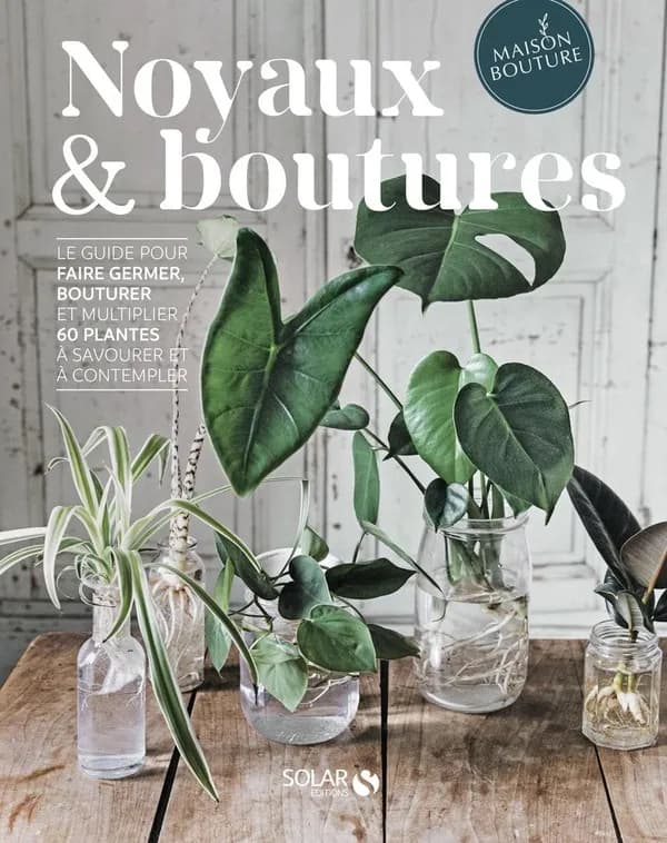 Noyaux & boutures : Maison Bouture