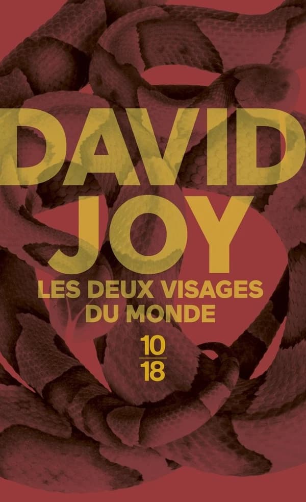 Les deux visages du monde