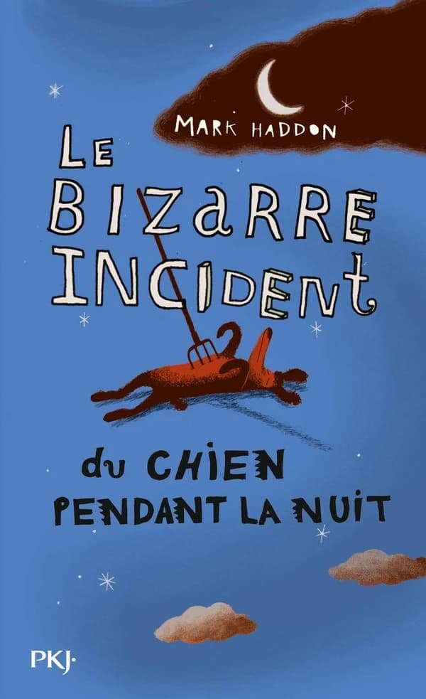 Le bizarre incident du chien pendant la nuit : roman