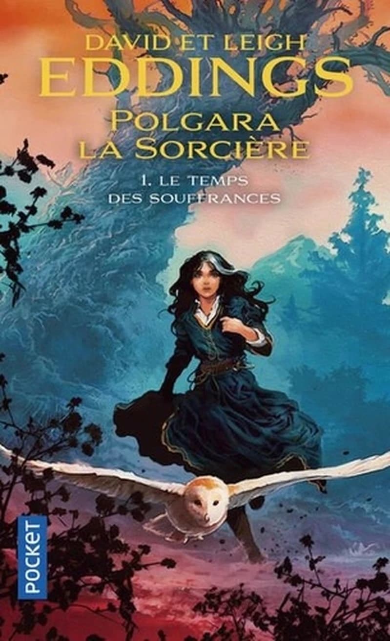 Polgara la sorcière Tome 1 ; le temps des souffrances