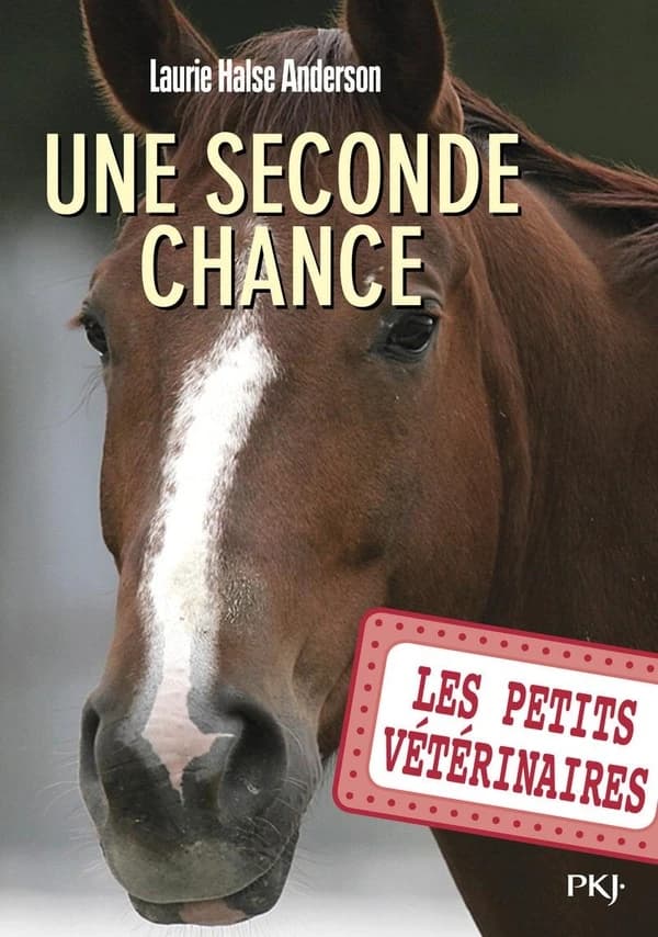 Une seconde chance