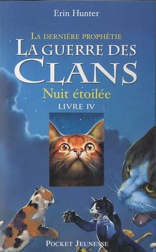 Nuit étoilée