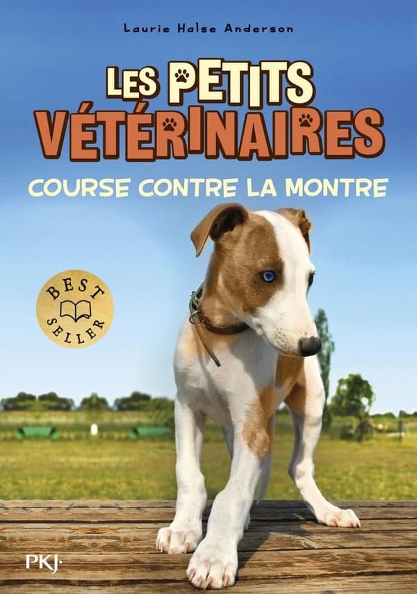 Course contre la montre
