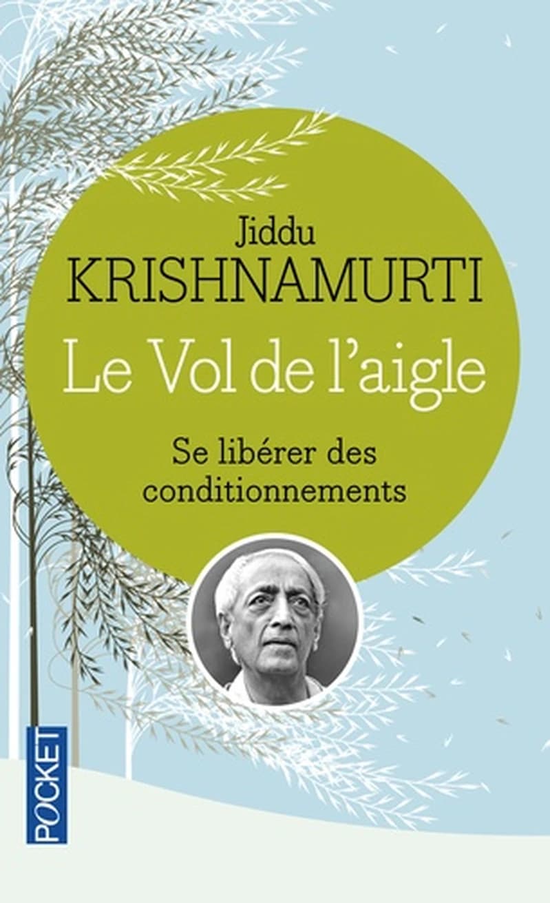 Le vol de l'aigle