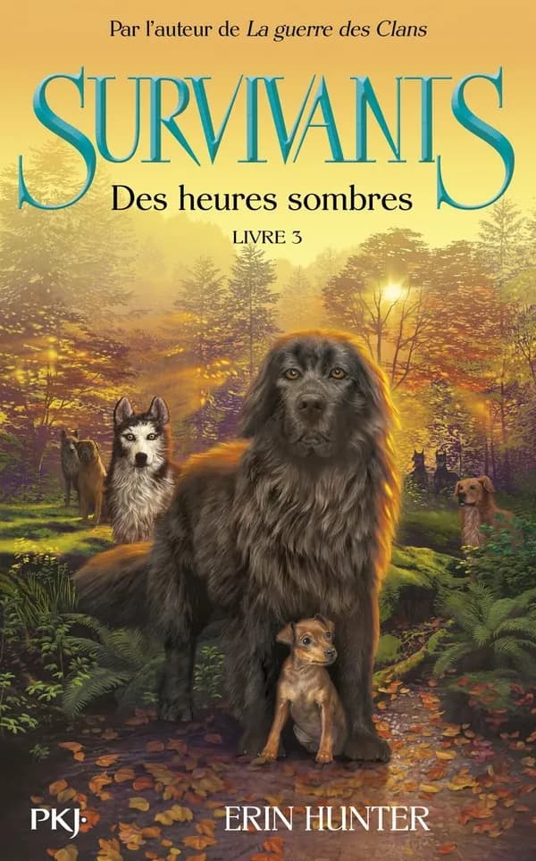 Des heures sombres
