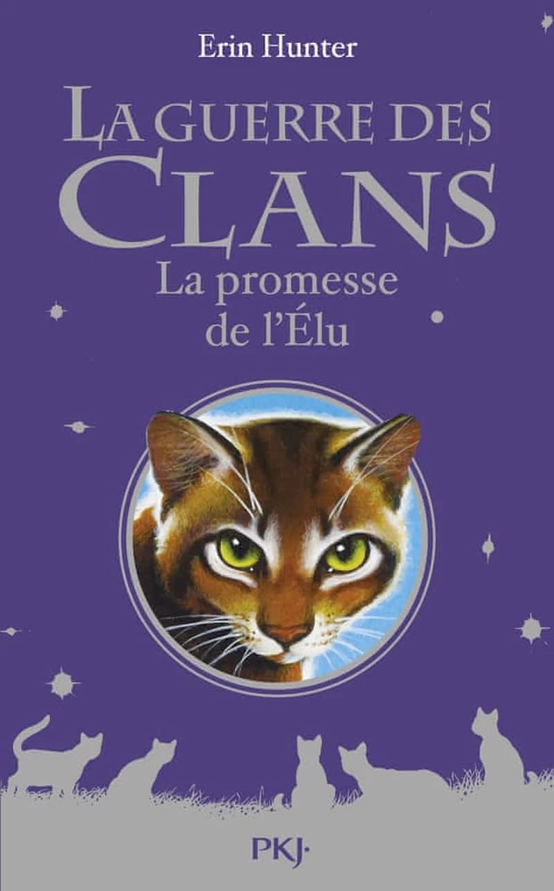 La promesse de l'Élu