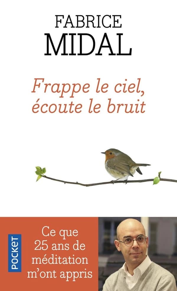 Frappe le ciel, écoute le bruit : Ce que vingt-cinq ans de méditation m'ont appris