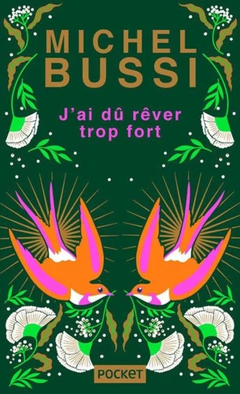 J'ai dû rêver trop fort (Éd. limitée) Michel Bussi