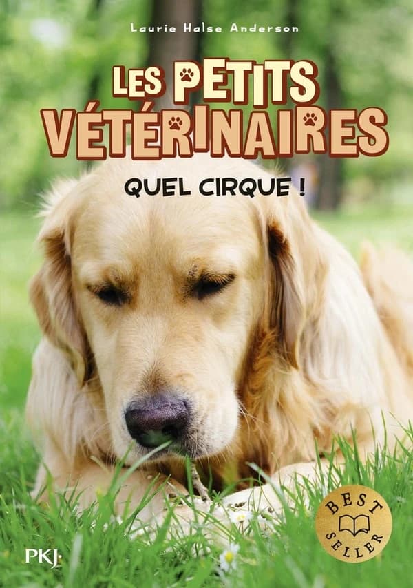 Quel cirque !