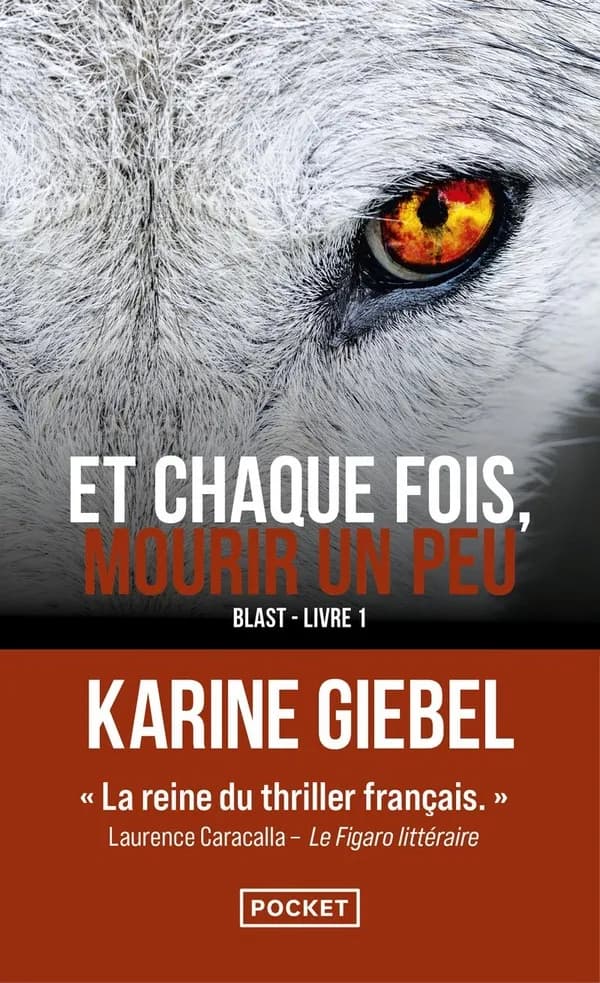 Et chaque fois, mourir un peu : Blast. Livre 1