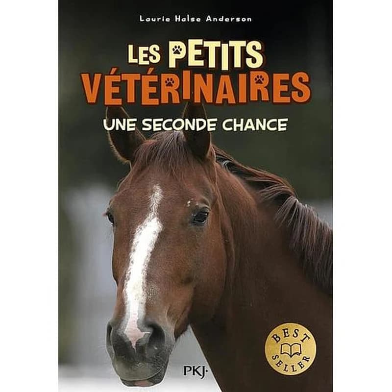 Une seconde chance