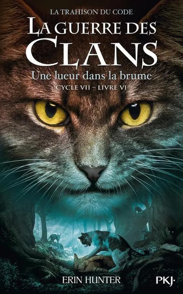 La guerre des clans : Cycle VII. Livre 6, Une lueur dans la brume