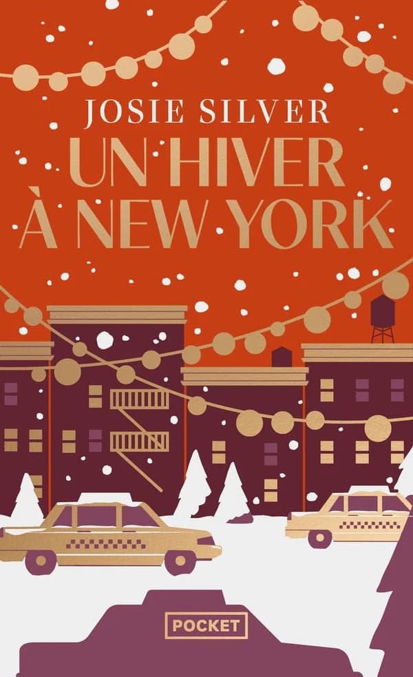 Un hiver à New York