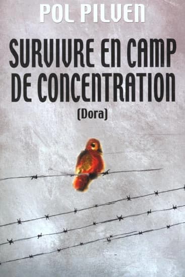 Survivre en camp de concentration : Dora, un monde de pitres tristes