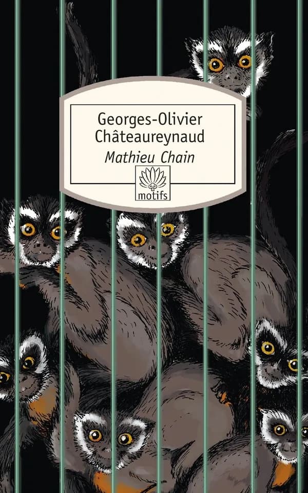 Mathieu Chain : roman
