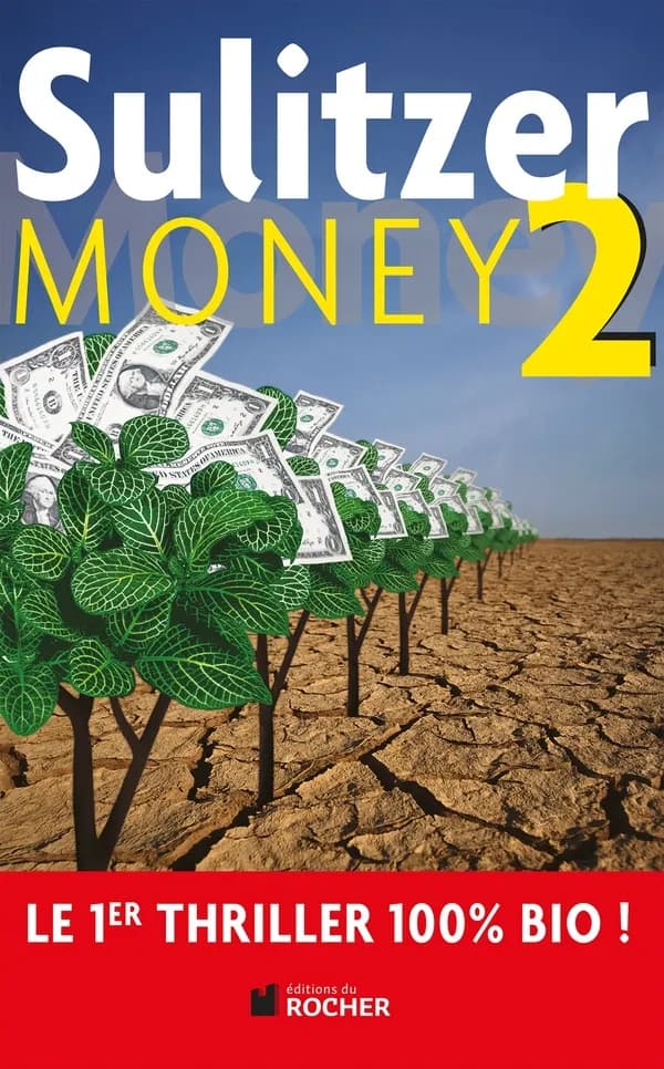 Money. 2 : roman