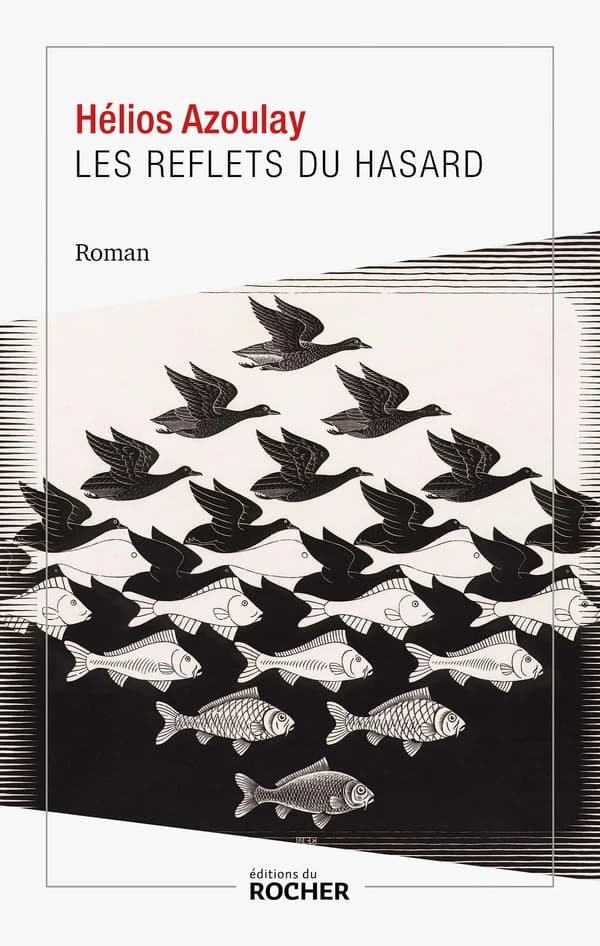 Les reflets du hasard : roman