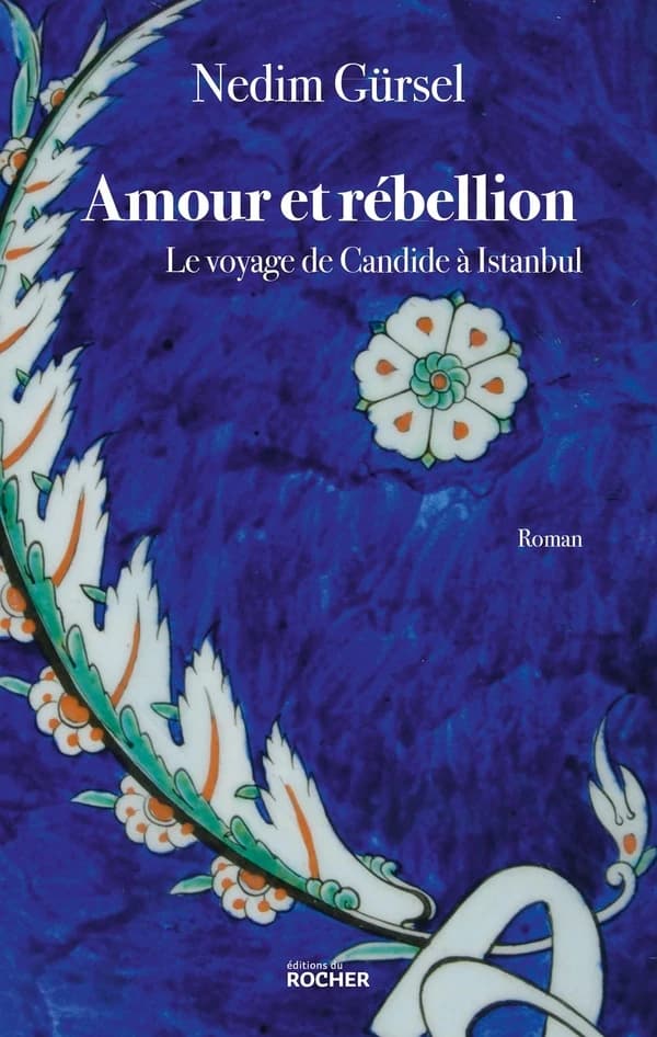 Amour et rébellion : le voyage de Candide à Istanbul : roman