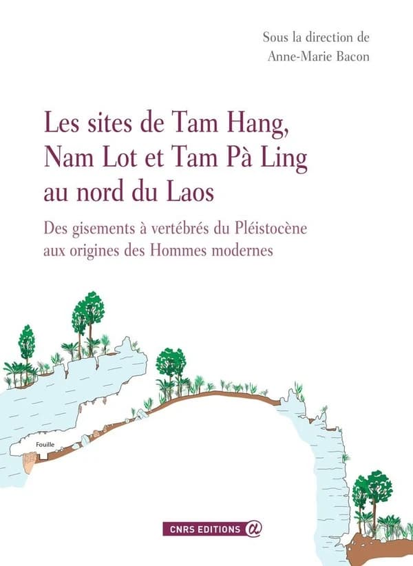 Les sites de Tam Hang, Nam Lot et Tam Pà Ling au nord du Laos : des gisements à vertébrés du Pléistocène aux origines des hommes modernes