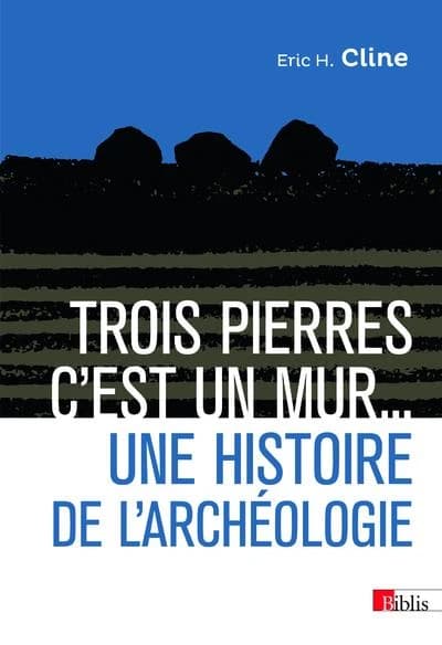 Trois pierres c'est un mur : une histoire de l'archéologie