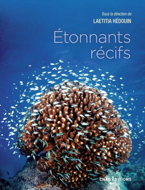 Étonnants récifs : les écosystèmes coralliens