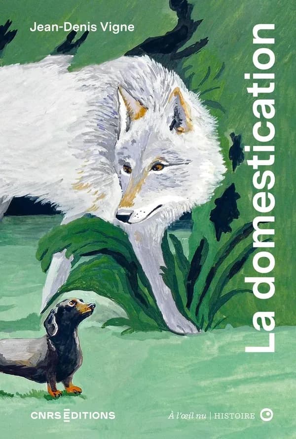 La domestication