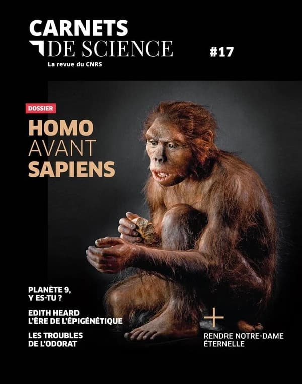 Carnets de science ; la revue du CNRS n.17 : Dossier : Homo avant sapiens