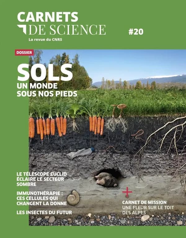 Carnets de science ; la revue du CNRS n.20
