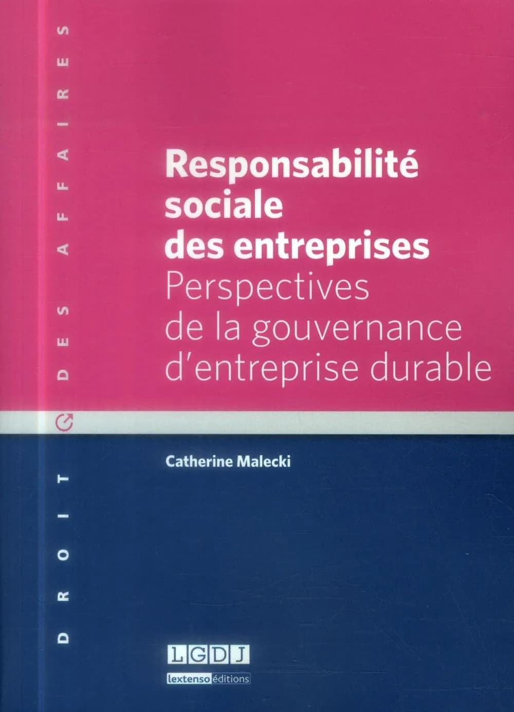 Responsabilité sociale des entreprises : perspectives de la gouvernance d'entreprise durable