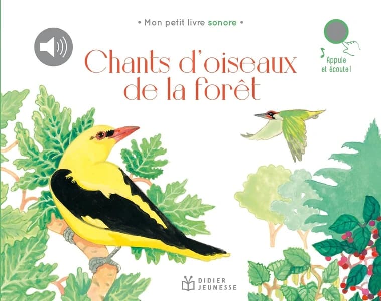 Chants d'oiseaux de la forêt : appuie et écoute !