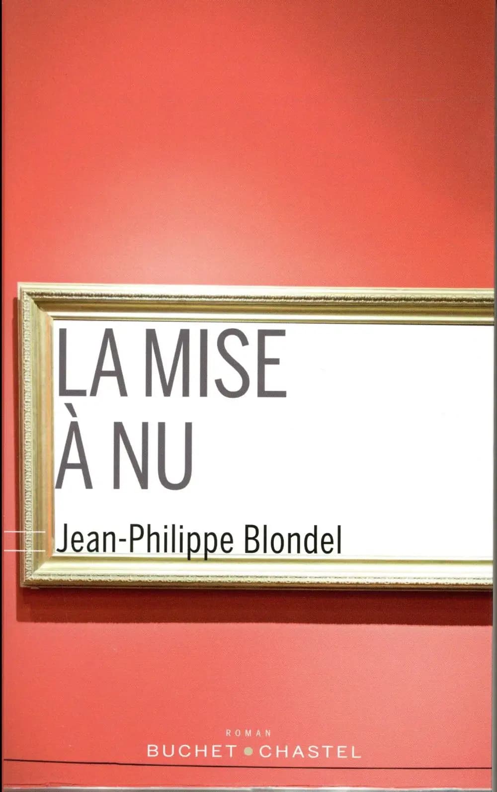 La mise à nu : roman