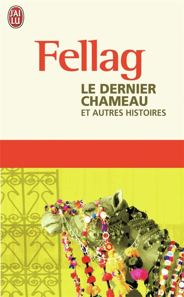 Le dernier chameau : et autres histoires : nouvelles