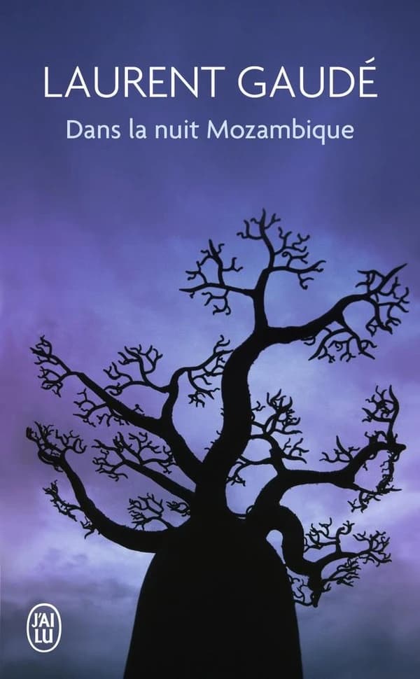 Dans la nuit du Mozambique : et autres récits