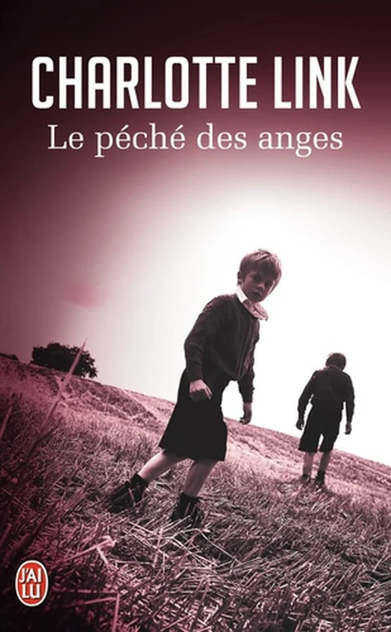 Le péché des anges : roman