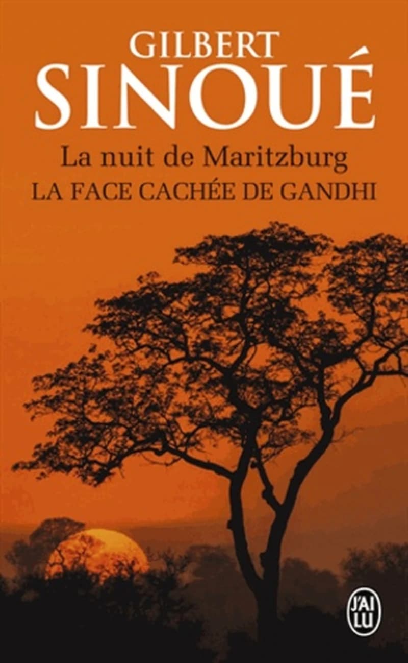 La nuit de Maritzburg : roman