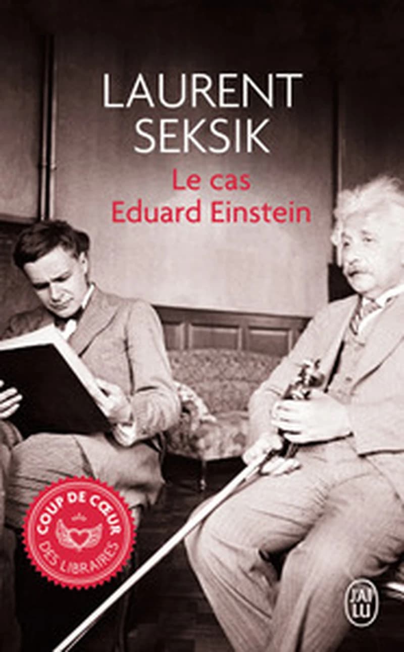 Le cas Eduard Einstein : roman