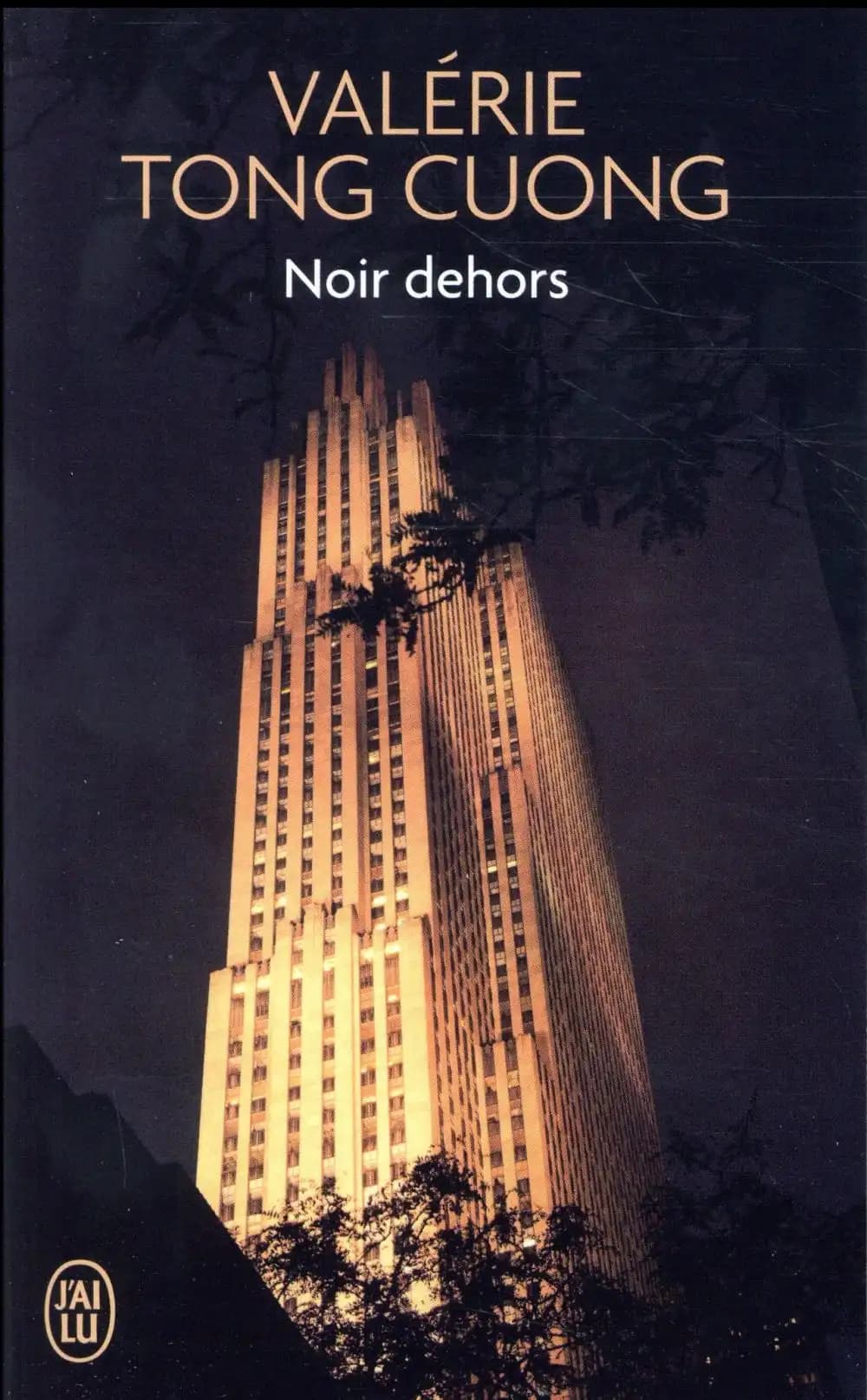 Noir dehors : roman
