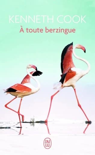 À toute berzingue : roman