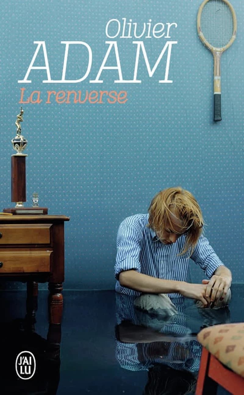 La renverse : roman